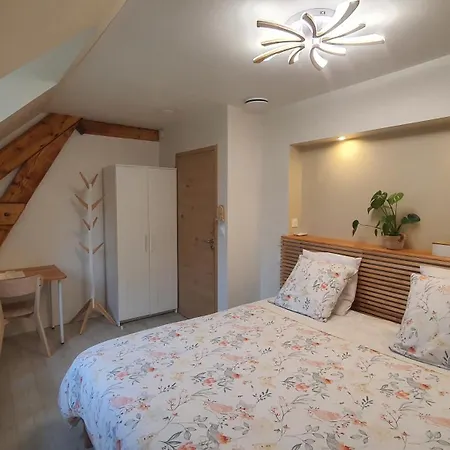 Au Fil De L'eau فندق مبيت وإفطار La Chapelle-Saint-Aubin